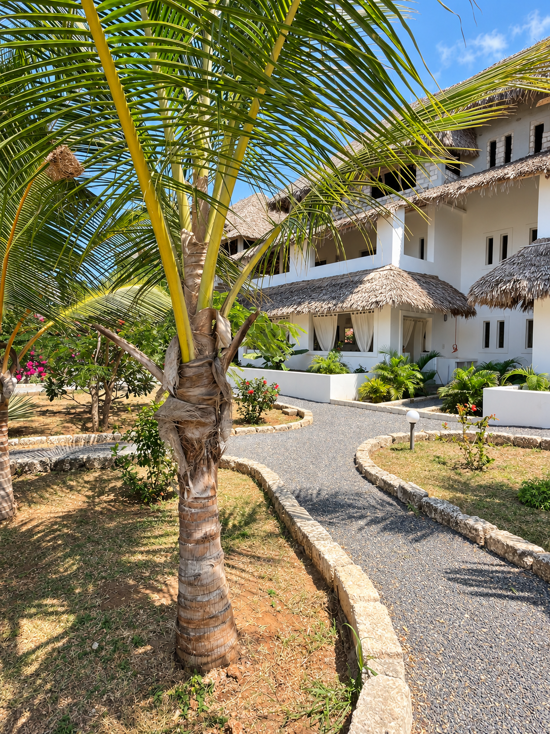 Watamu House framed by a palm tree and tropical garden